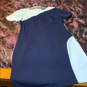 Sheath Dress- blue and white panels